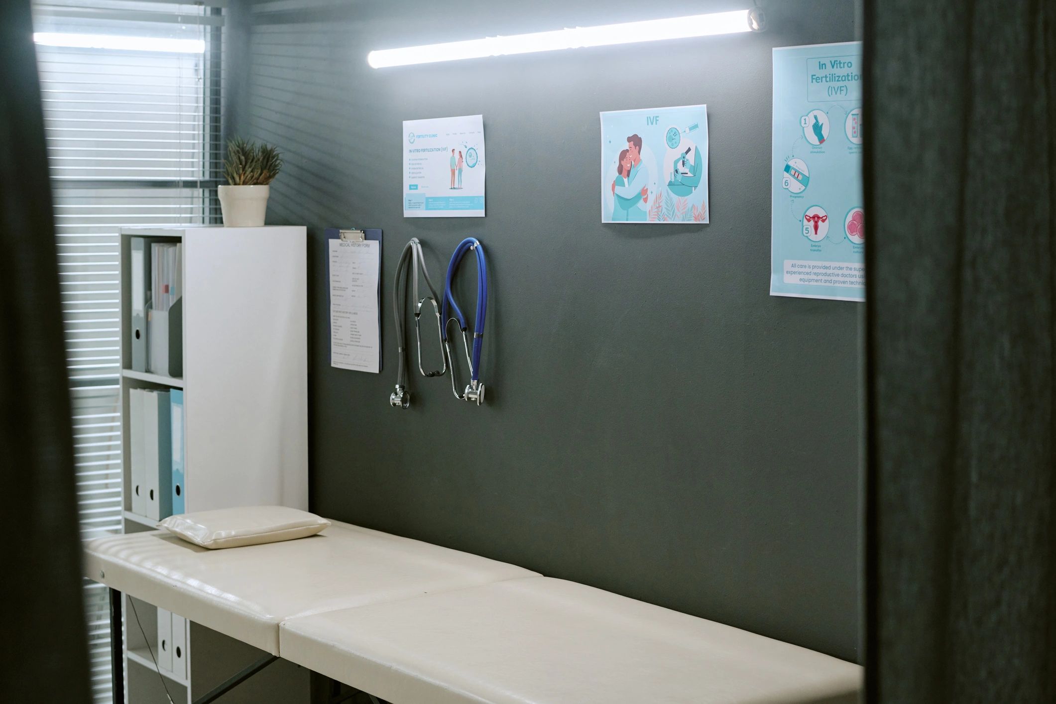 Clean, modern clinic room ready for client care